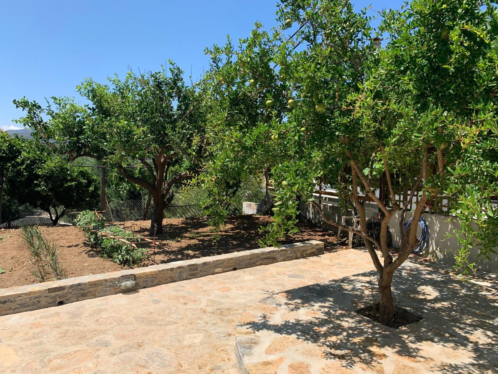 Gioma Garden Villas Istro Exterior photo